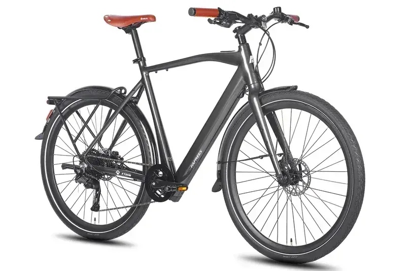 Fafrees F700M Bici Elettrica da Città image 13