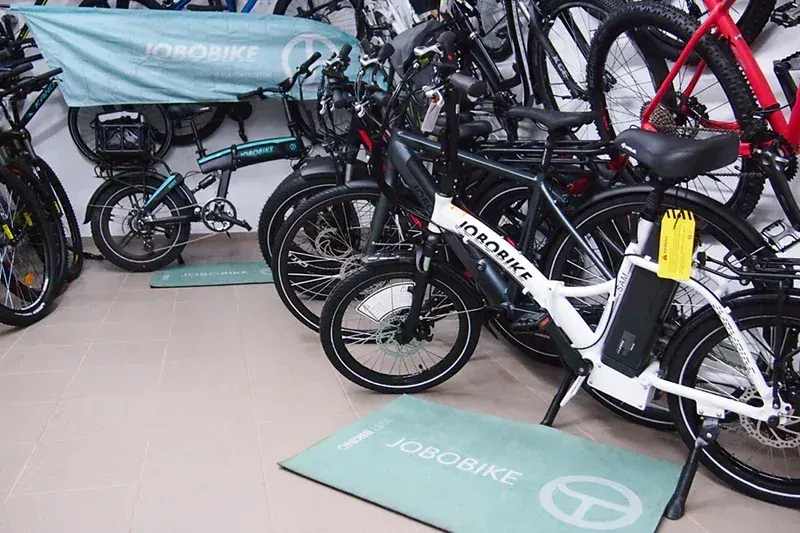Fafrees FF20 Polar Bici Elettrica Pieghevole image 8