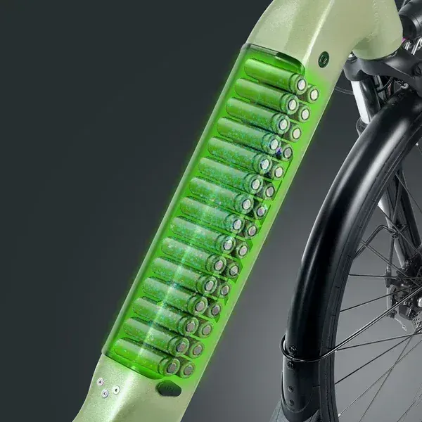 Fafrees FM9 Bici Elettrica da Città image 4
