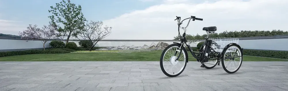 Gogobest GF100 triciclo elettrico cargo in vista laterale completa, con cestino posteriore e ruote larghe.