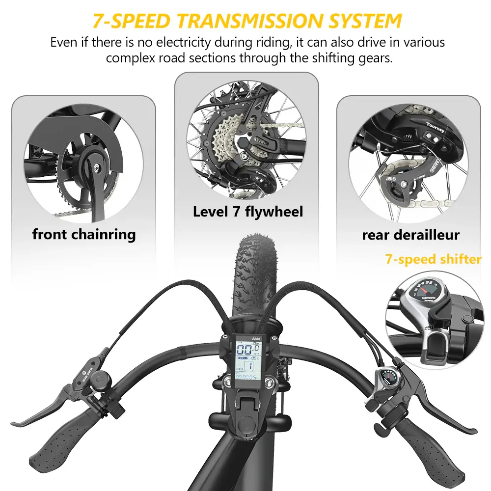 Hidoes B3 Fat Bike Elettrica image 11
