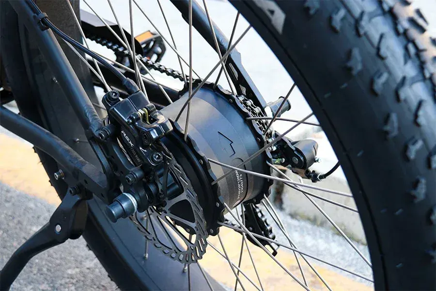 Hidoes B3 Fat Bike Elettrica image 2