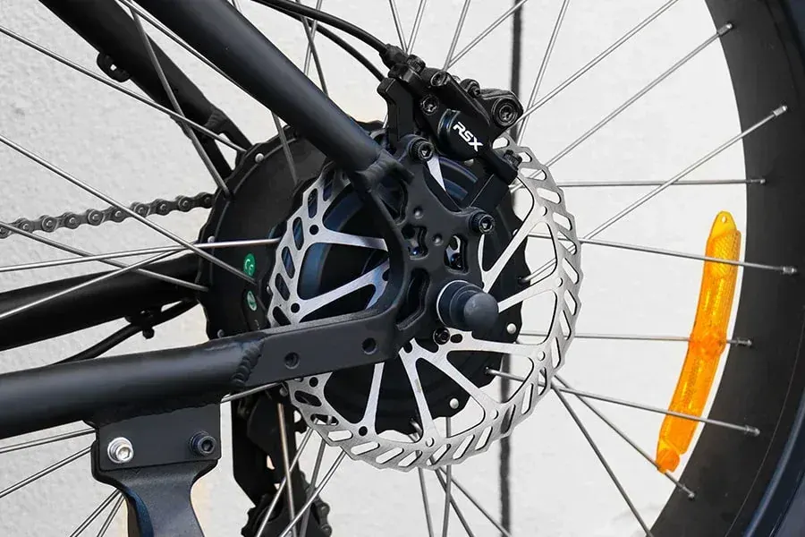 Hidoes B3 Fat Bike Elettrica image 4