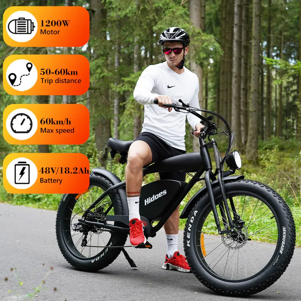 Hidoes B3 Fat Bike Elettrica image 9