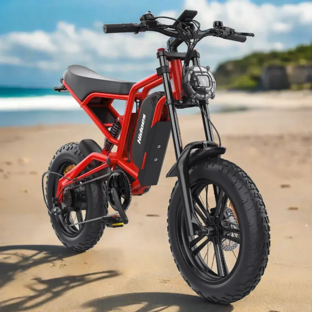 Hidoes B6 Fat Tire E-Bike image 12