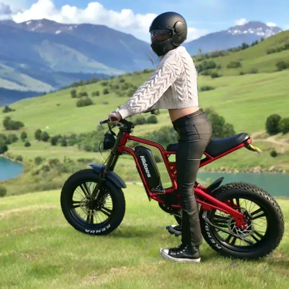 Hidoes B6 Fat Tire E-Bike image 3