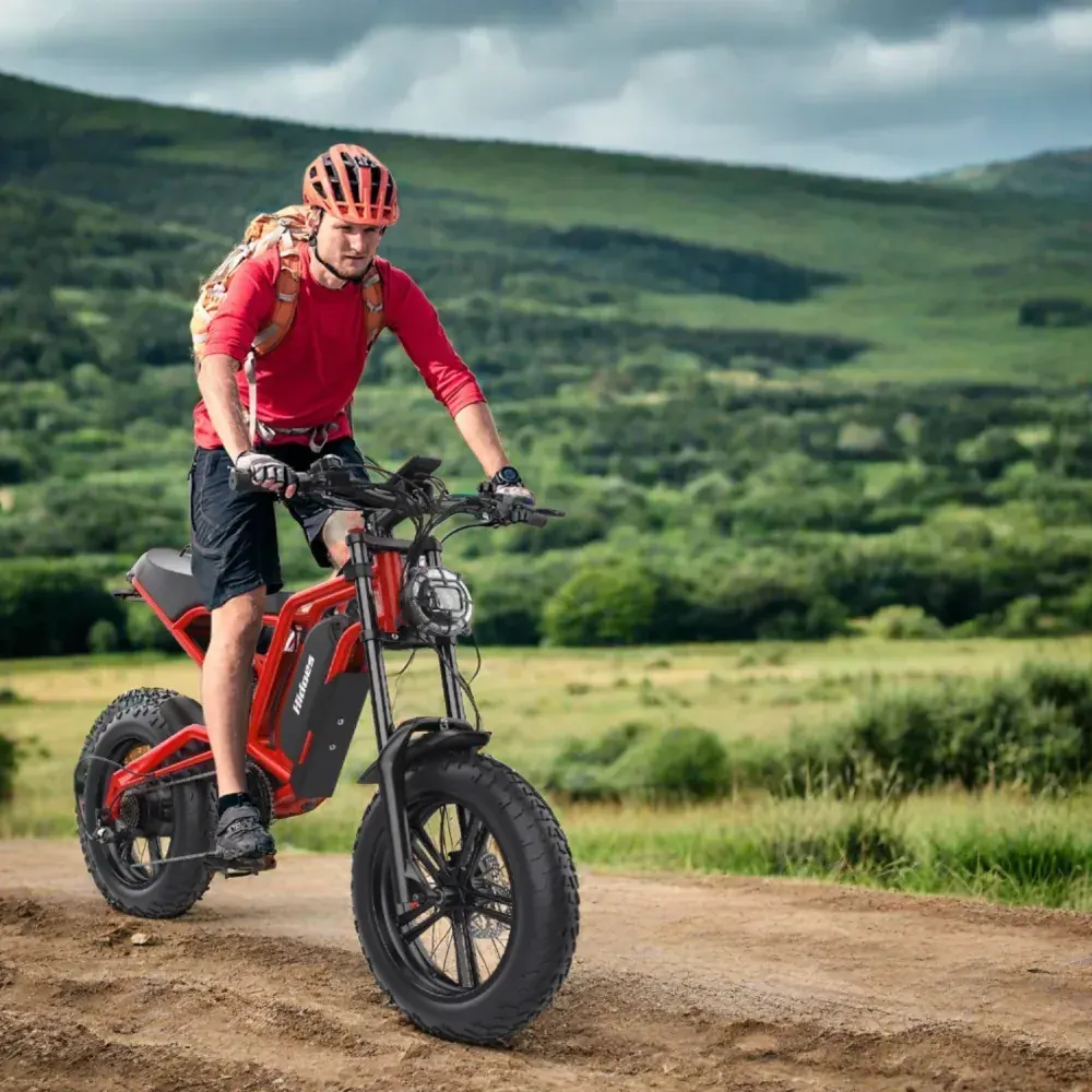 Hidoes B6 Fat Tire E-Bike image 4