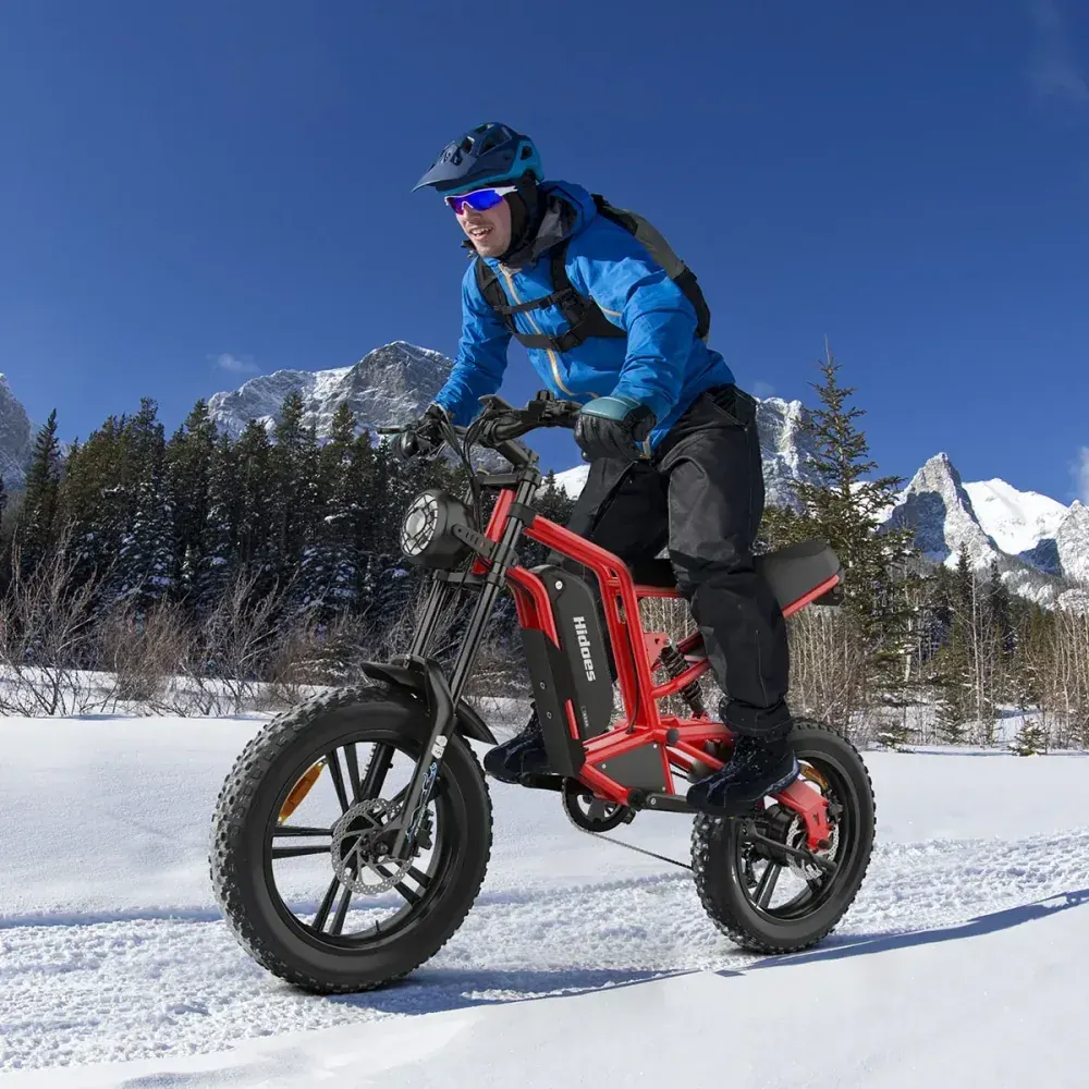 Hidoes B6 Fat Tire E-Bike image 5