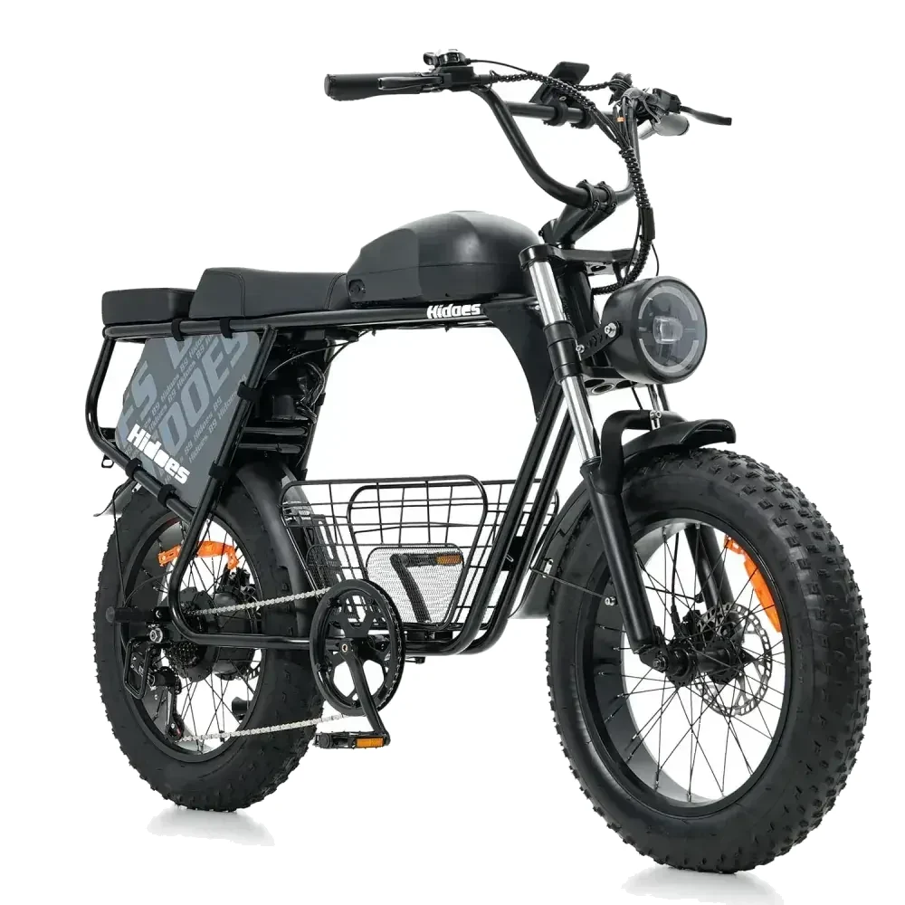 Hidoes B9 Fat Bike Elettrica a Doppia Batteria image 1