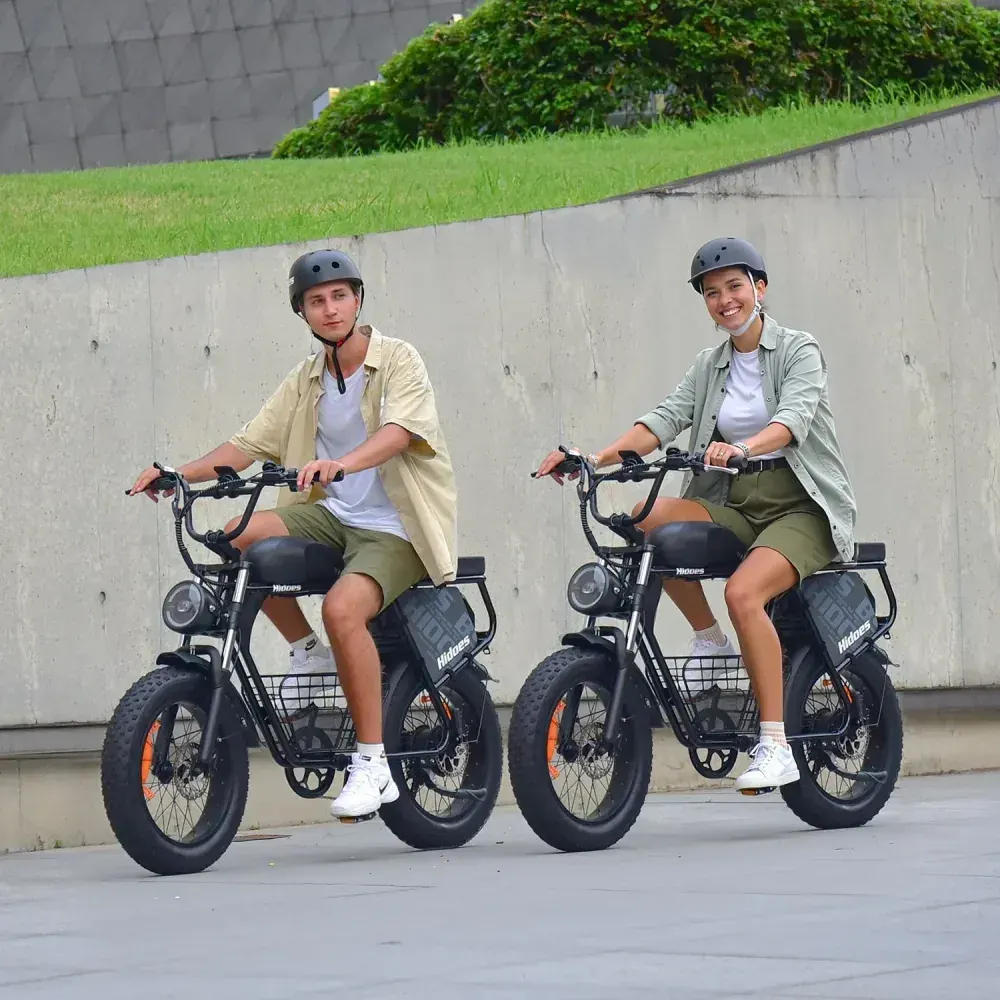 Hidoes B9 Fat Bike Elettrica a Doppia Batteria image 3