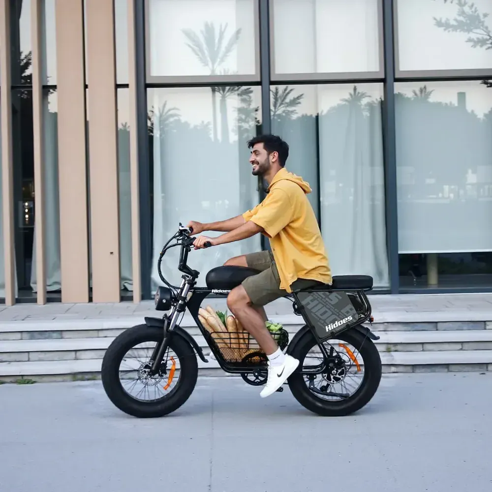 Hidoes B9 Fat Bike Elettrica a Doppia Batteria image 4