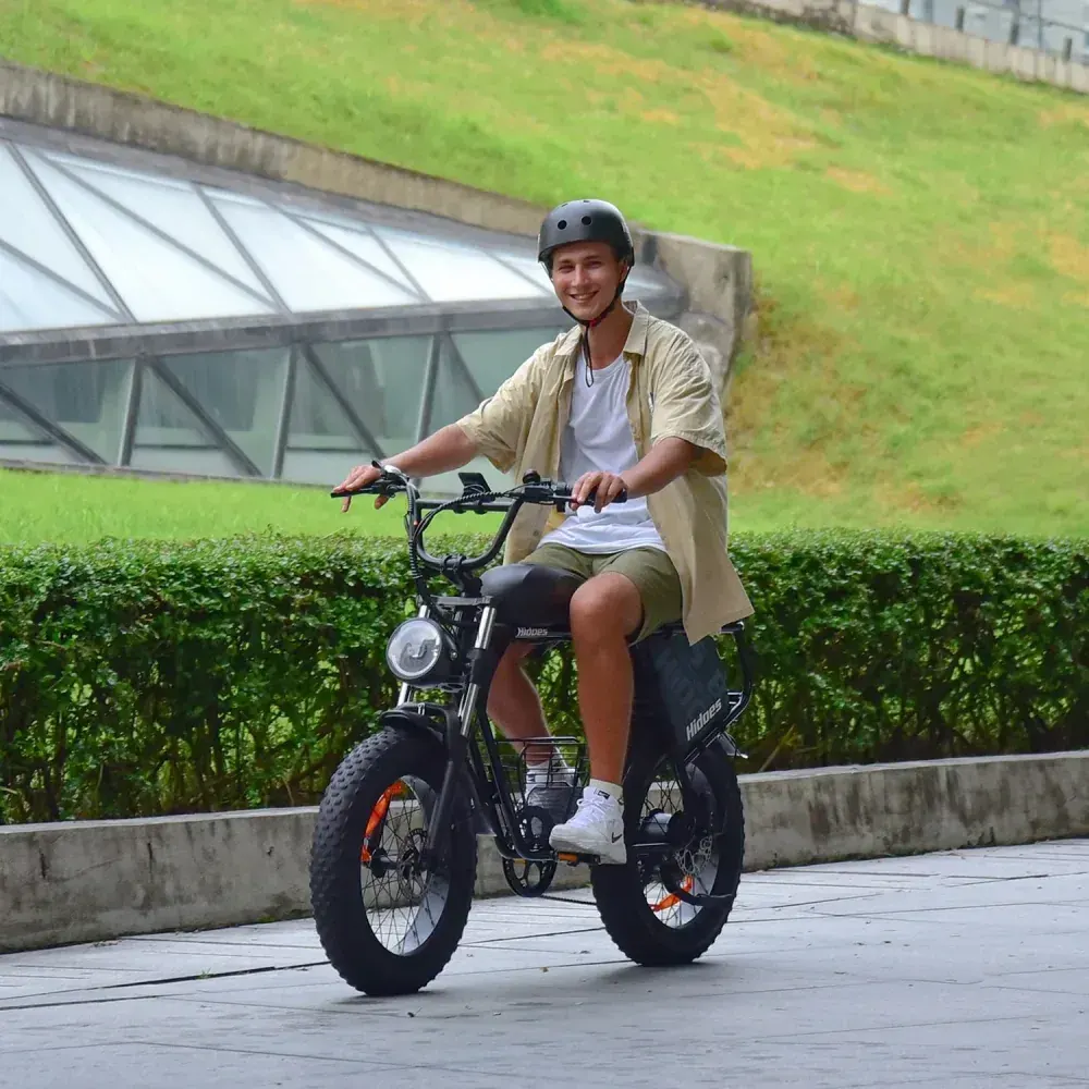 Hidoes B9 Fat Bike Elettrica a Doppia Batteria image 5