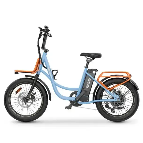 Hidoes C6 Bici Elettrica Mountain Bike image 12