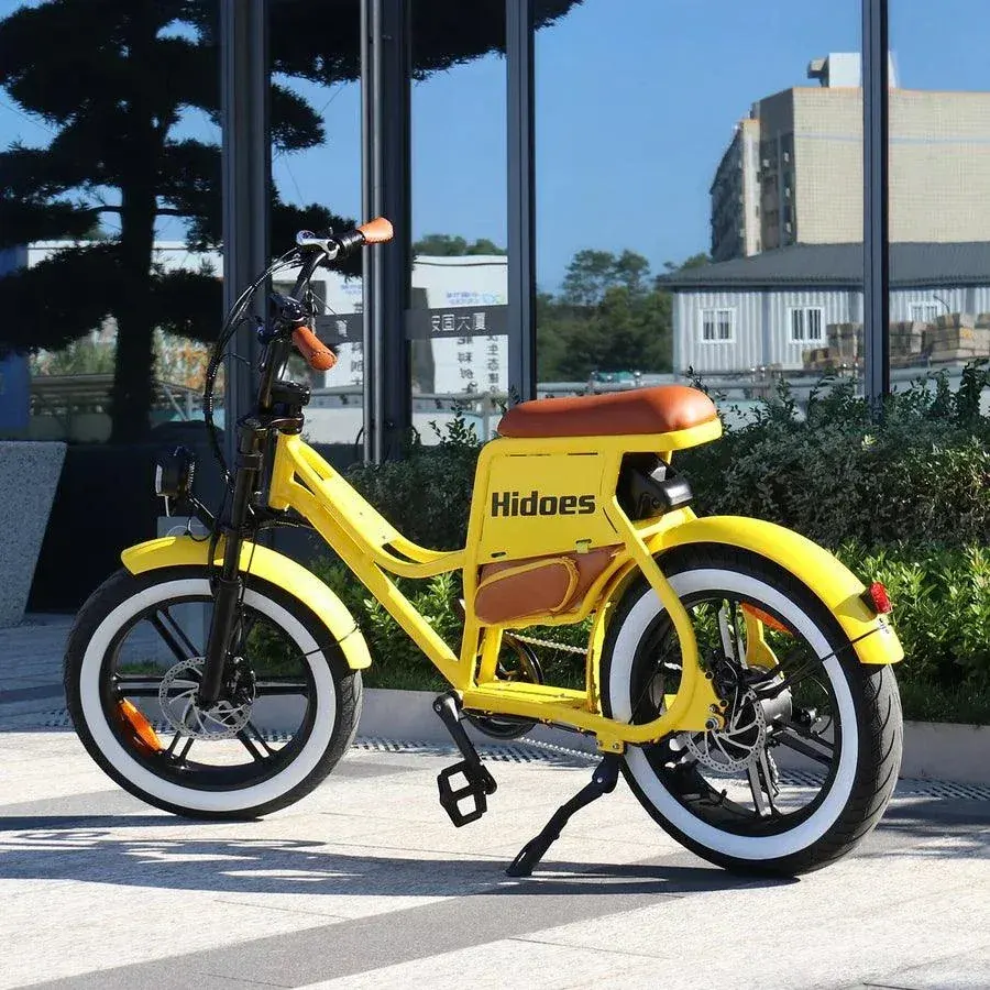 Hidoes C8 E-Bike Fat Tire Potente e Versatile image 5