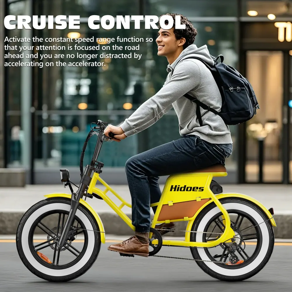 Hidoes C8 E-Bike Fat Tire Potente e Versatile image 9