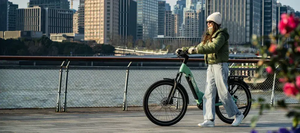 Himiway A7 Pro E-Bike Urbana a Sospensione Totale image 6