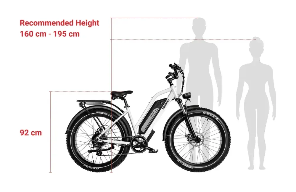 Himiway D3 Fat Bike Elettrica All Terrain image 3
