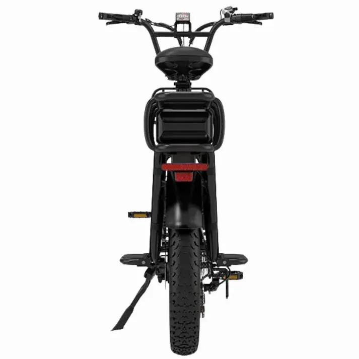 Koolux X8 Bici Elettrica Cargo image 6