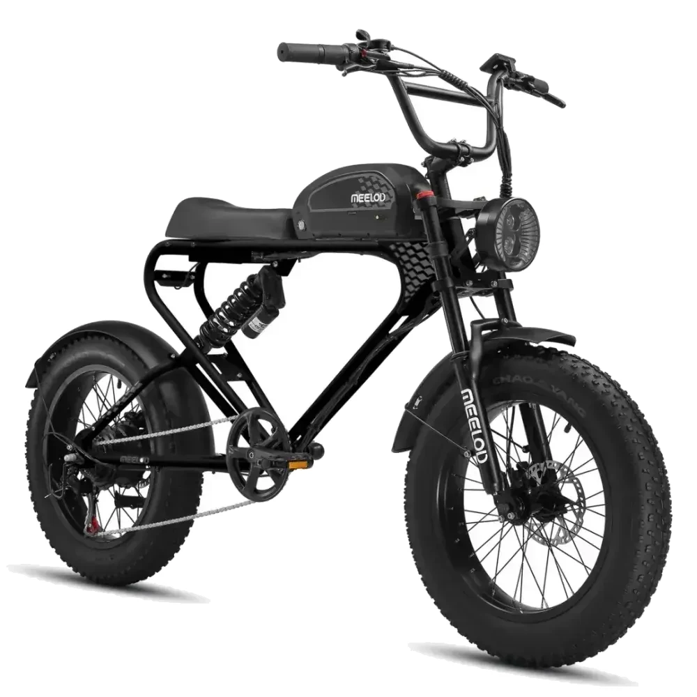 Meelod DK300 PLUS Fat Bike Elettrica image 1