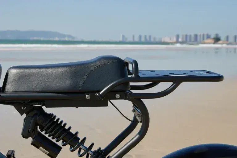 Meelod DK300 PLUS Fat Bike Elettrica image 9