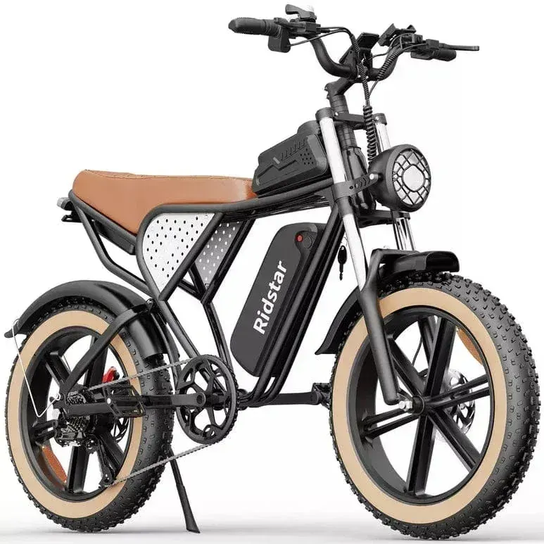 Ridstar Q20 Luxe Bici Elettrica Fat Bike Retro image 6