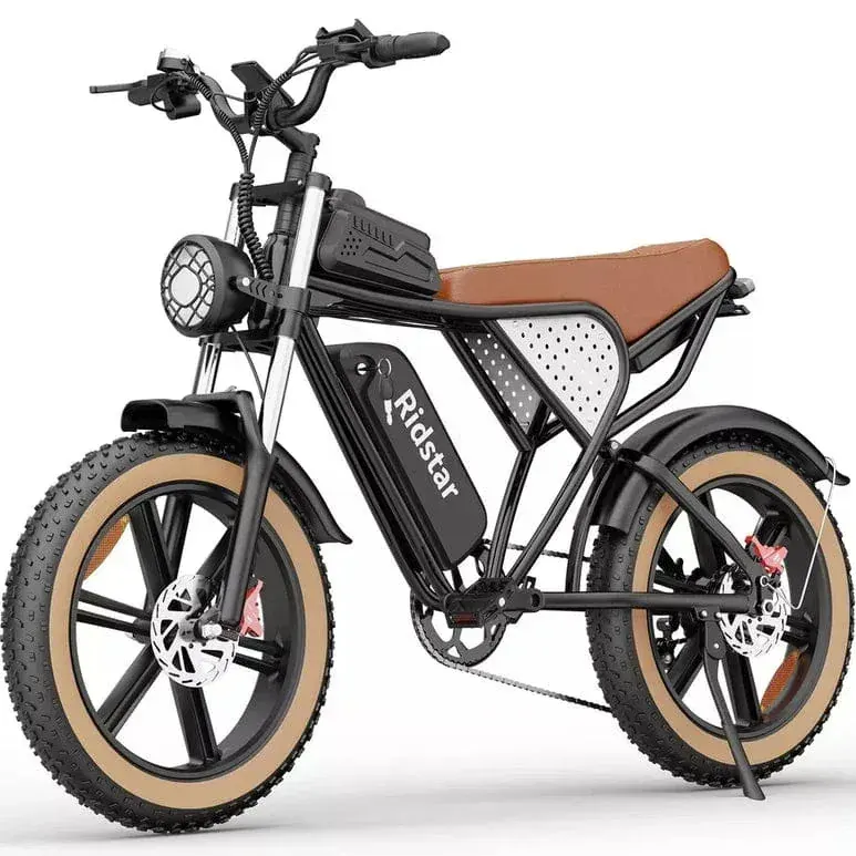 Ridstar Q20 Luxe Bici Elettrica Fat Bike Retro image 7