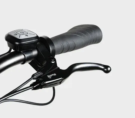 Samebike RS-A01 Pro Bici Elettrica da Città image 10