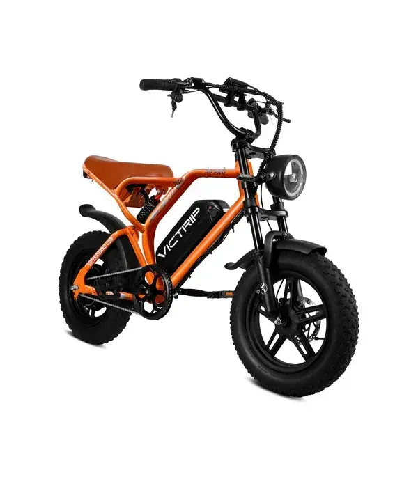 Victrip R6 Pro Fat Bike Elettrica image 13
