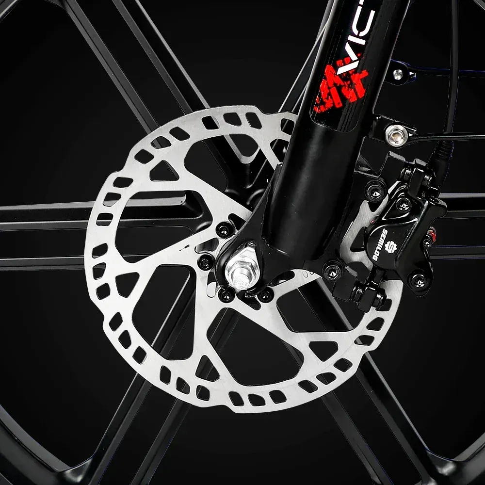 Victrip T5S Bici Elettrica Pieghevole image 8