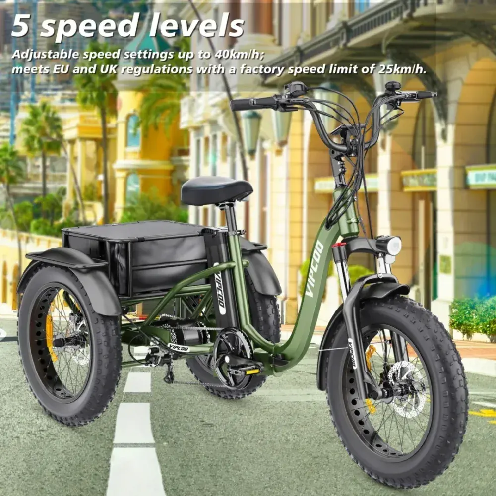 Vipcoo ET1 Triciclo Elettrico Pieghevole da Cargo image 11