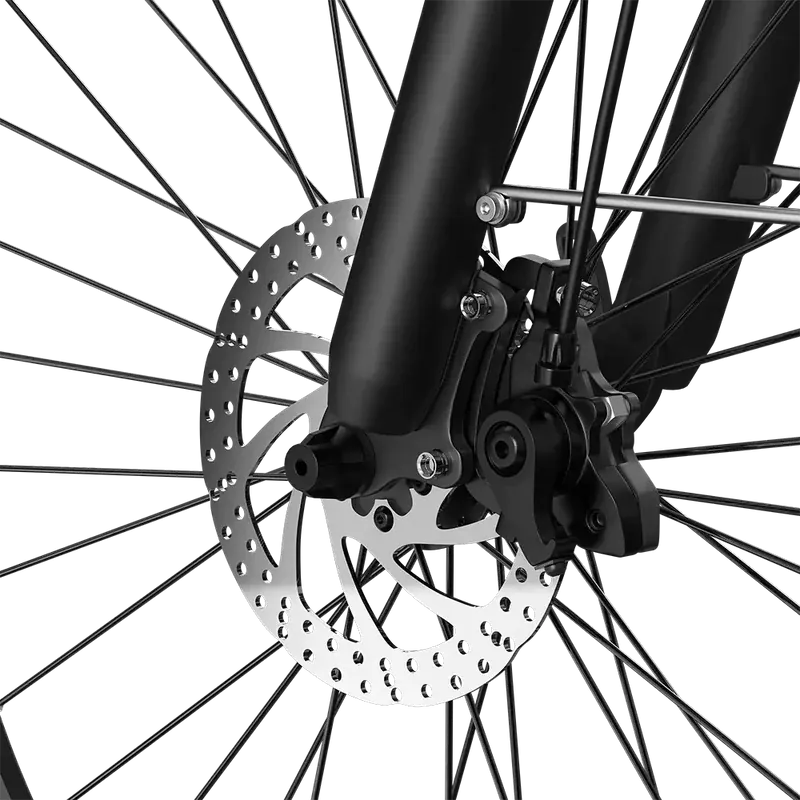 PIXAR C1 bici elettrica da città a telaio ribassato image 11