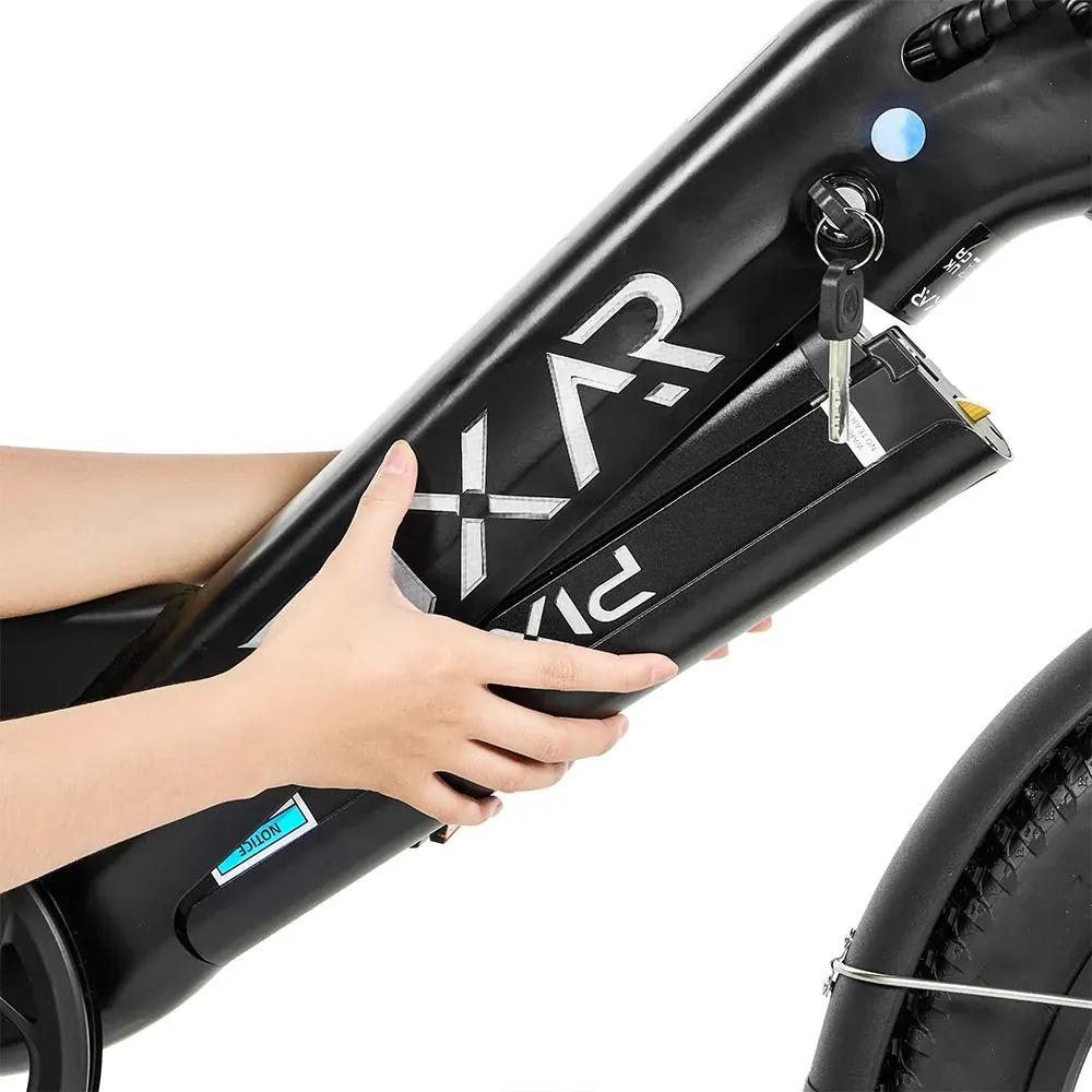 PIXAR Plus fat bike elettrica per la spesa e le commissioni image 3