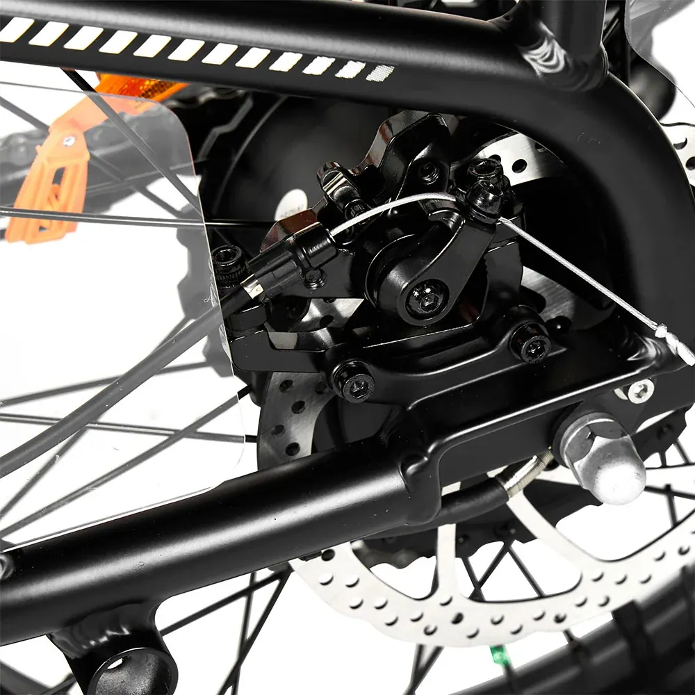 PIXAR Plus fat bike elettrica per la spesa e le commissioni image 8