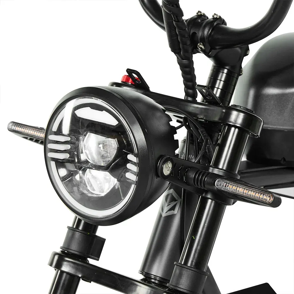 PIXAR Super fat bike elettrica retrò con sella lunga image 11