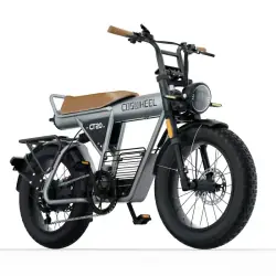 Coswheel CT20 2.0 Fat Tire E-Bike