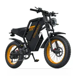 Coswheel GT20 Fat Bike Elettrica