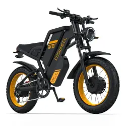 Coswheel GT20 Pro Bici Elettrica Fat Bike
