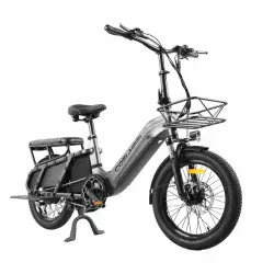 Coswheel HQ20 Bici Elettrica Cargo