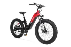 Cyrusher Roam Step-Thru E-Bike Fat Bike Full Suspension