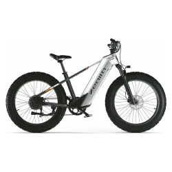 Cyrusher Zenith Bici Elettrica Fat Tire