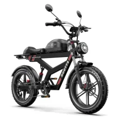 Duotts F20 Bici Elettrica Fat Bike Pieghevole