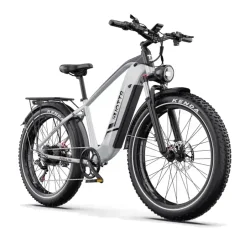 Duotts F26Lite Bici Elettrica Fat Bike Leggera