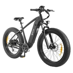 DYU King 750 Fat Bike Elettrica
