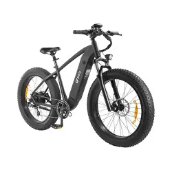DYU King 750 Fat Bike Elettrica