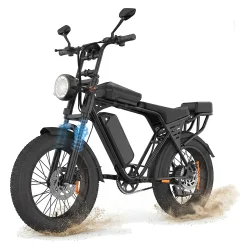 AAIRSK X5 Fat Bike Elettrica 20"