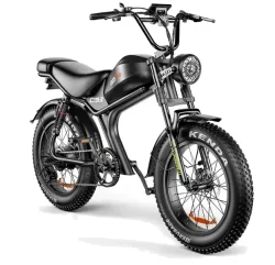 Emoko C93 Bici Elettrica Fat Bike a Doppio Motore