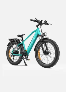 Engwe E26 Fat Bike Elettrica Full Suspension