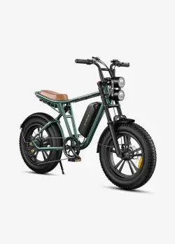 Engwe M20 Fat Bike Elettrica a Lunga Autonomia