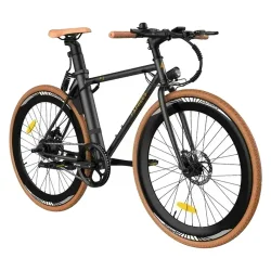 Fafrees F1 Bici Elettrica da Città