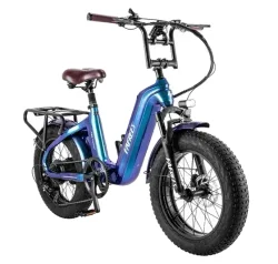 Fafrees F20 Master Fat Bike Elettrica